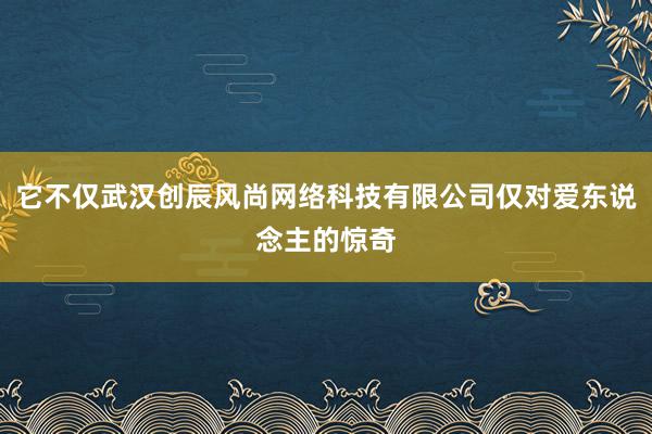 它不仅武汉创辰风尚网络科技有限公司仅对爱东说念主的惊奇