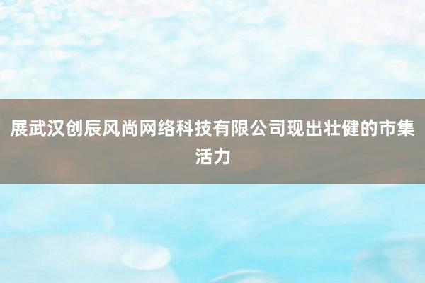 展武汉创辰风尚网络科技有限公司现出壮健的市集活力